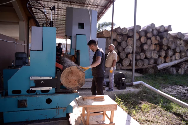İşlenmeye hazır tomruklar Ardahan'daki arıcılık merkezinde kovana dönüşüyor