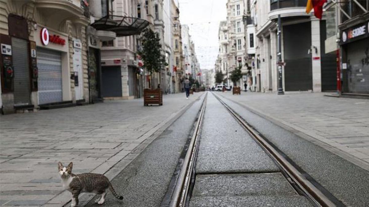 İstanbul İl Sağlık Müdürü Memişoğlu: Yeni bir kapanmanın gündeme geleceğini düşünmüyorum