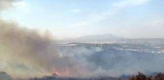 İzmir'de makilik alanda çıkan yangın kontrol altına alındı