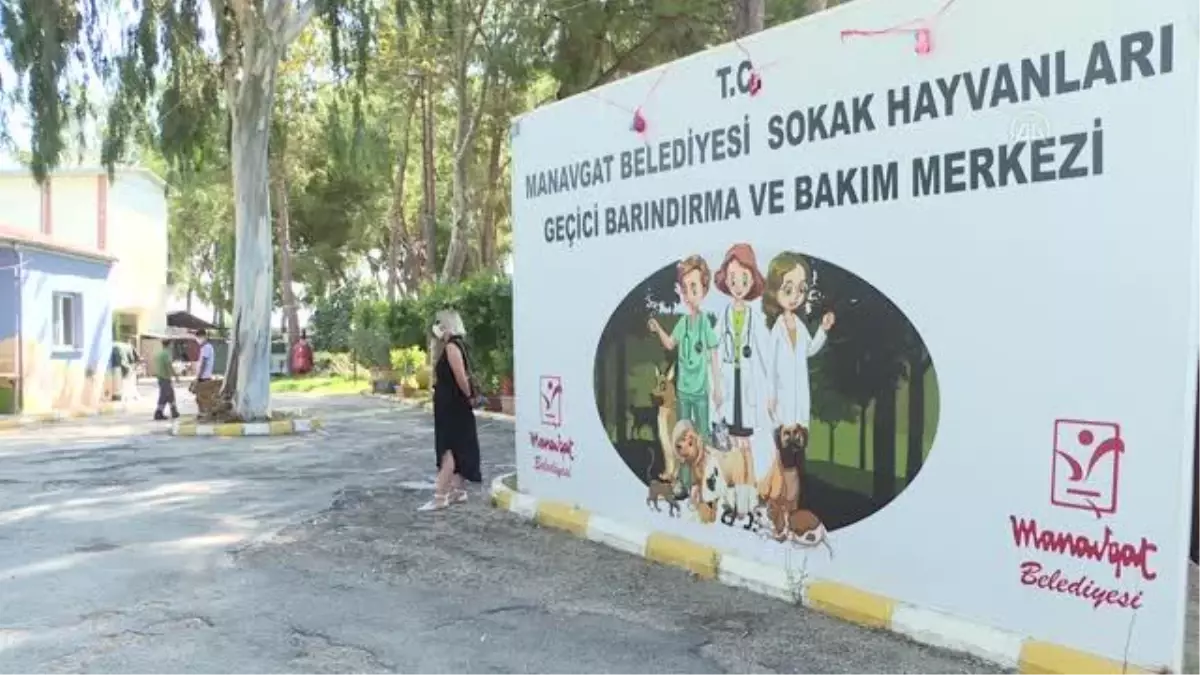 Orman yangınlarında yaralanan hayvanlar hem şifaya hem de yeni sahiplerine kavuştu