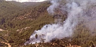 Son dakika haber: Antalya'da çıkan orman yangınları büyümeden söndürüldü