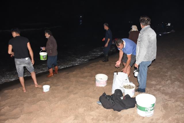 Böylesi ilk kez görülüyor! Karadeniz'de gece tonlarca balık kıyıya vurdu, 100 kilo 100 kilo topladılar