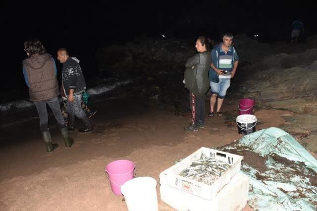 Böylesi ilk kez görülüyor! Karadeniz'de gece tonlarca balık kıyıya vurdu, 100 kilo 100 kilo topladılar Böylesi ilk kez görülüyor! Karadeniz'de gece tonlarca balık kıyıya vurdu, 100 kilo 100 kilo topladılar
