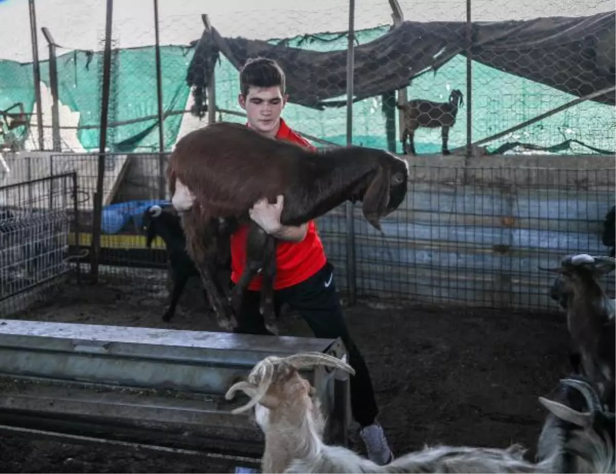 Çiftlik işlerini antrenmana çevirip, şampiyonaya hazırlanıyor