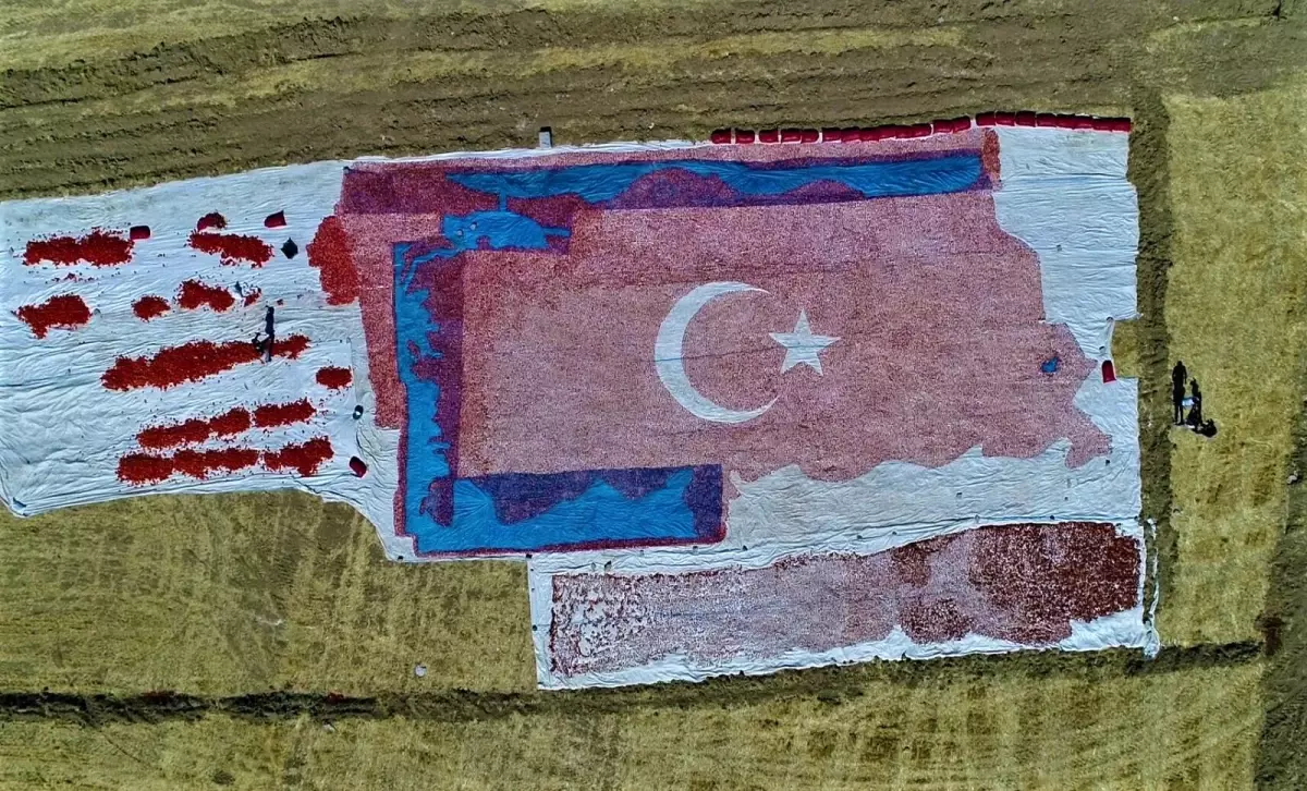 Kurutmalık domateslerle ay yıldızlı Türkiye haritası