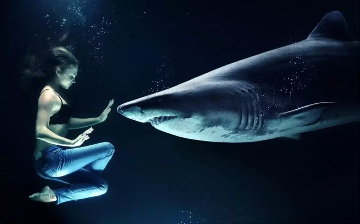 Rüyada köpek balığı görmek ne anlama gelir? Rüyada köpek balığından kaçmak, Rüyada köpek balığı ısırması, rüyada köpek balığı yakalamak ne demektir?