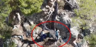 Döşemealtı: Uçurumda mahsur kalan defineciler kendilerini ihbar etti: Gelin bizi kurtarın Döşemealtı: Uçurumda mahsur kalan defineciler kendilerini ihbar etti: Gelin bizi kurtarın
