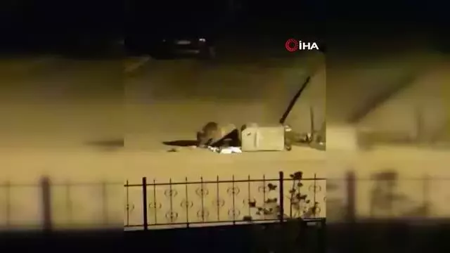 Aç kalan ayı, çöp konteynerinde böyle yiyecek aradı