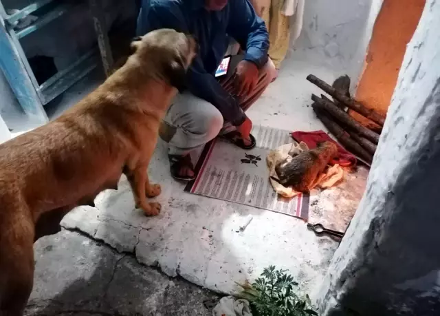 Su kanalına düşen yavru köpek kurtarıldı