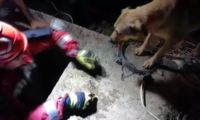 Su kanalına düşen yavru köpek kurtarıldı