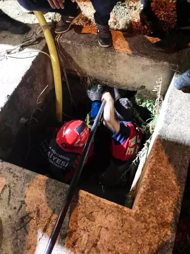 Su kanalına düşen yavru köpek kurtarıldı