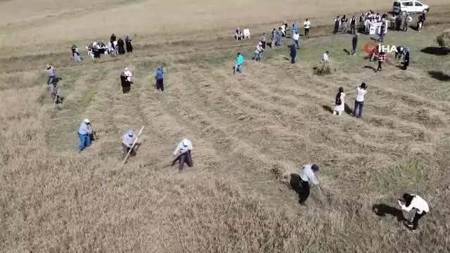 Avrupa'da yılın müzesinden harman şenliği