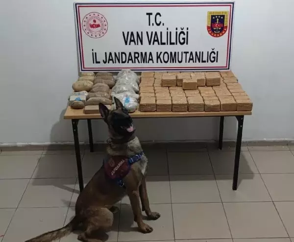 Başkale'de araziye gizlenen uyuşturucuları 'Togo' buldu