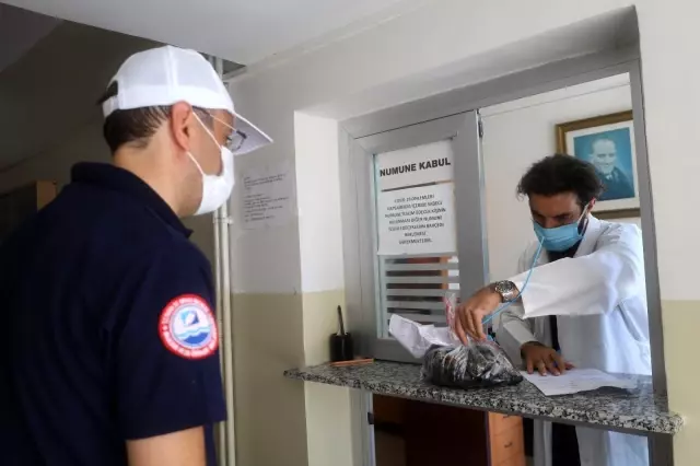 İstanbul İl Tarım ve Orman Müdürlüğü, midye avcılığını böyle denetliyor