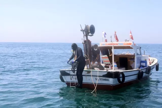 İstanbul İl Tarım ve Orman Müdürlüğü, midye avcılığını böyle denetliyor