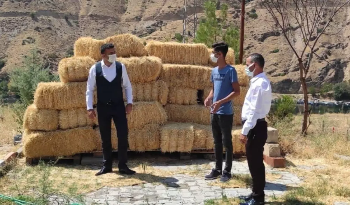 Keban'da Genç Çiftçi Projesiyle mantar yetiştirme tesisi kuruldu