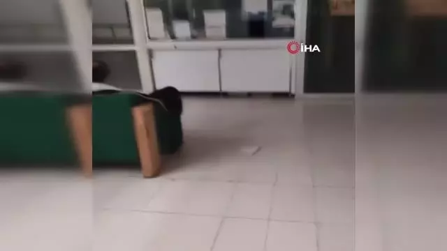 Meksika'da hastaneyi su bastı: 10 ölü