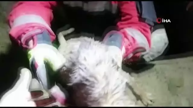 Su kanalına düşen yavru köpek kurtarıldı