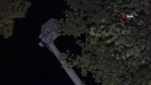 Yeni metro hattındaki ağaçlar kesilmek yerine taşındı