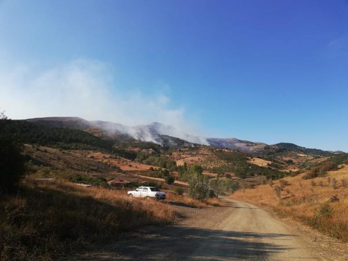 Ankara'da orman yangını (1)