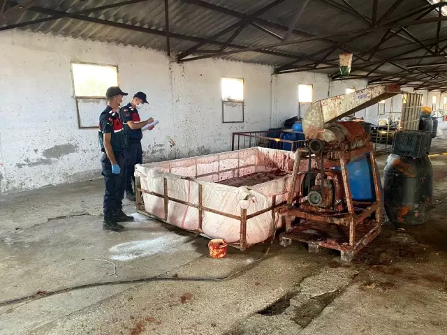 Hayvan damında ürettikleri salçayı vatandaşa yedireceklerdi