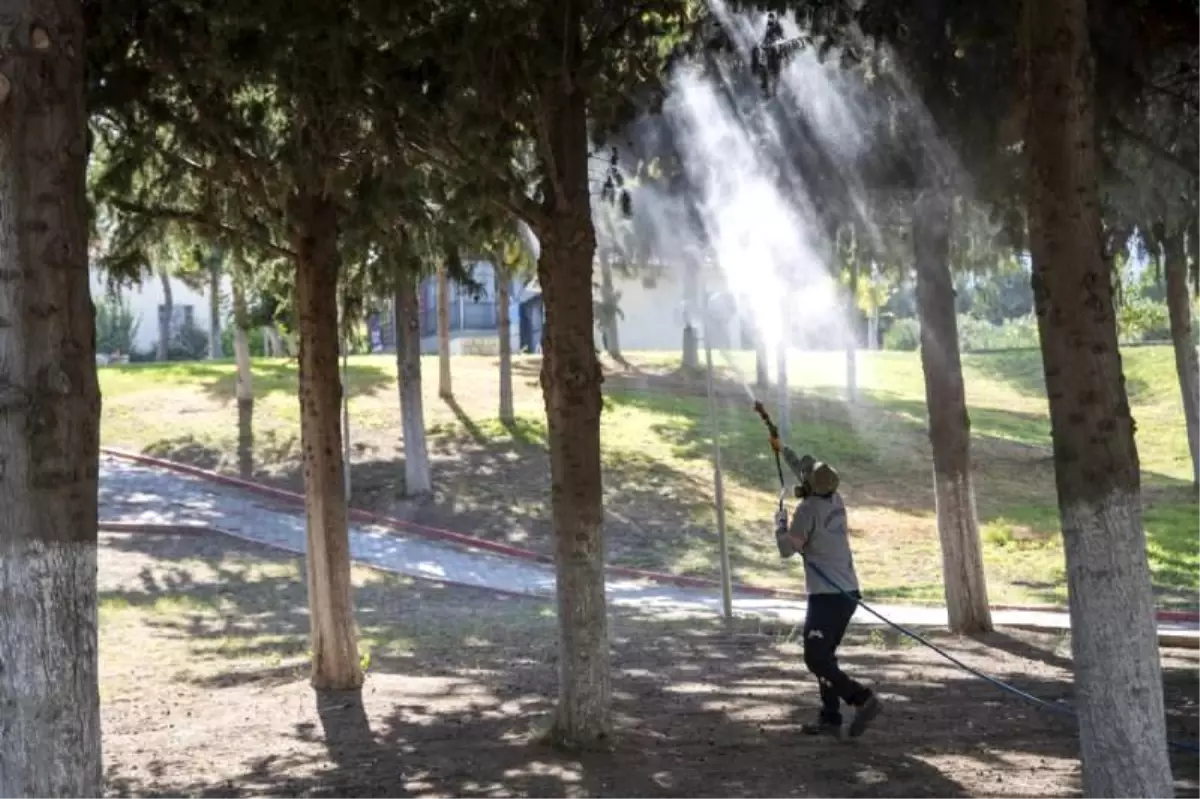 Mersin Büyükşehir'in Beyazsinek Mücadelesi Sürüyor