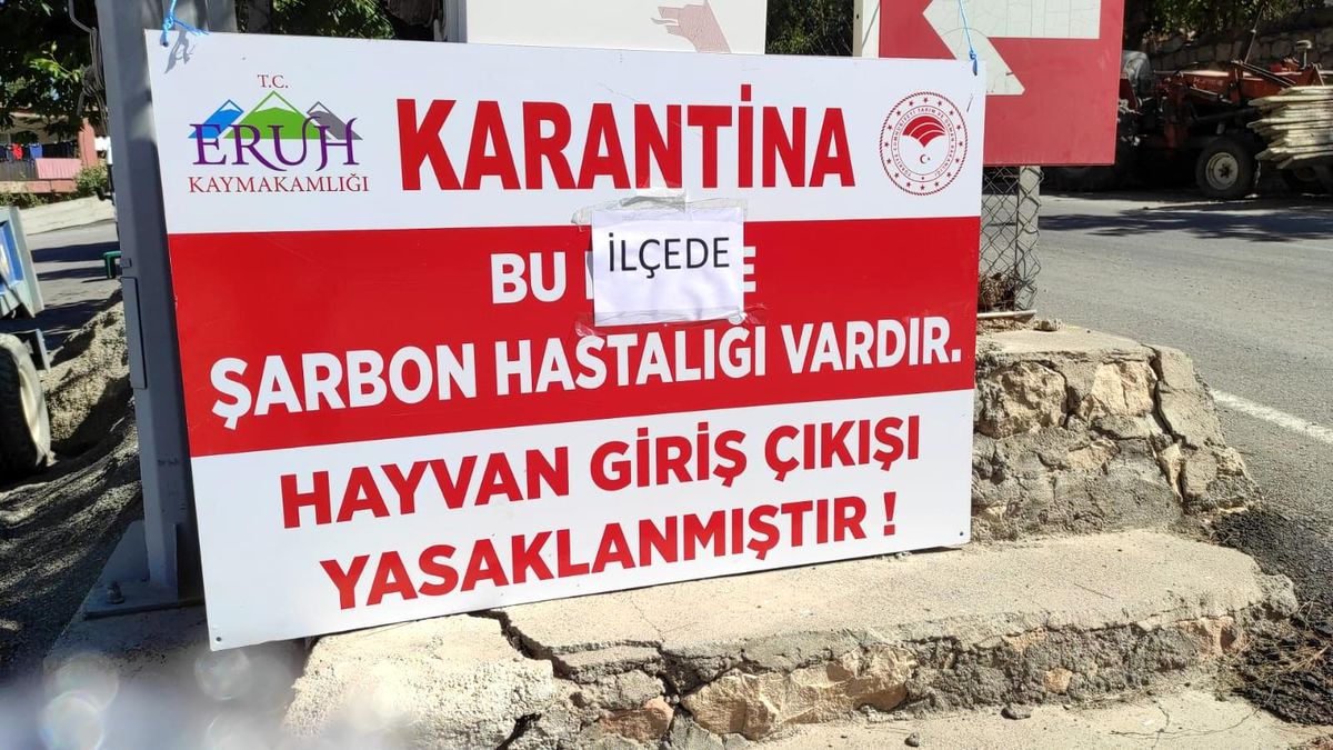 Siirt'te şarbon tespit edilen Eruh ilçesi karantinaya alındı
