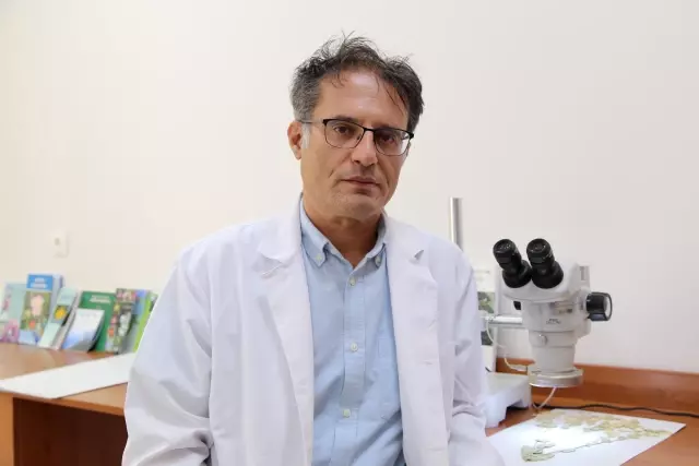 Sivas'ta yeni bitki türü keşfedildi, ismini profesörden aldı