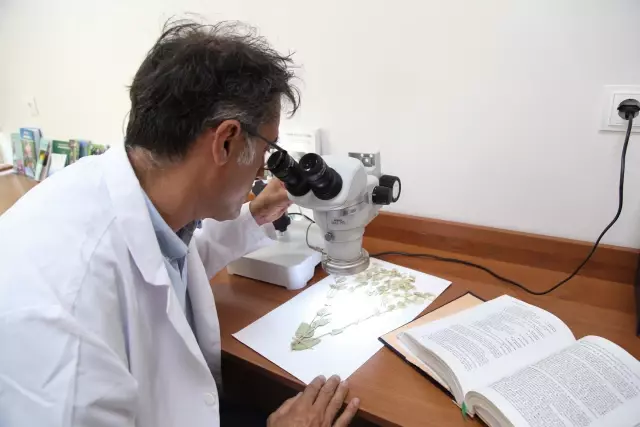 Sivas'ta yeni bitki türü keşfedildi, ismini profesörden aldı