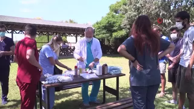 Yangından yaralı kurtulan eşek iyileşince emekliye ayrılacak
