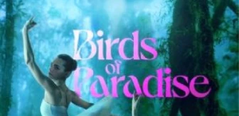 Birds of Paradise Filmi