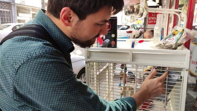 Çapkın papağan görenleri şaşırtıyor! Yoldan geçen kızlara ıslık çalıp, çay sipariş ediyor