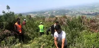 Avrupa Birliği: Defne, TÜRKPATENT tarafından 'Türk' ibaresi ile tescillenen ilk ürün oldu Avrupa Birliği: Defne, TÜRKPATENT tarafından 'Türk' ibaresi ile tescillenen ilk ürün oldu