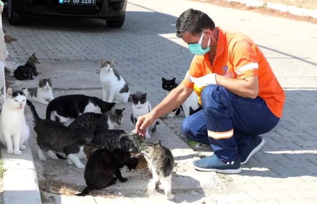 Gaziemir Belediyesi can dostların yaşam hakkına dikkat çekiyor
