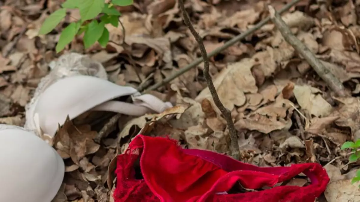 İş arkadaşıyla gördüğü eski sevgilisini ormana kaçırdı! Önce soyup cinsel ilişkiye zorladı, sonra üzerlerine tuvaletini yaptı