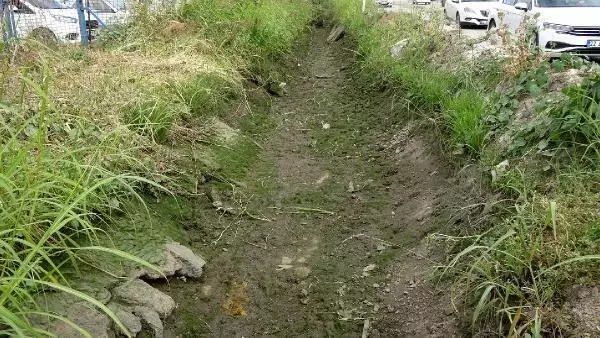 KURUYAN KANALDAKİ BALIKLARI PET ŞİŞELERLE NEHRE TAŞIYIP, ÖLÜMDEN KURTARDI
