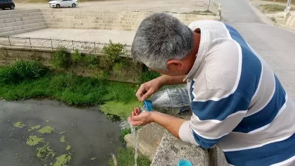 KURUYAN KANALDAKİ BALIKLARI PET ŞİŞELERLE NEHRE TAŞIYIP, ÖLÜMDEN KURTARDI