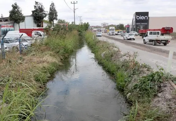 KURUYAN KANALDAKİ BALIKLARI PET ŞİŞELERLE NEHRE TAŞIYIP, ÖLÜMDEN KURTARDI