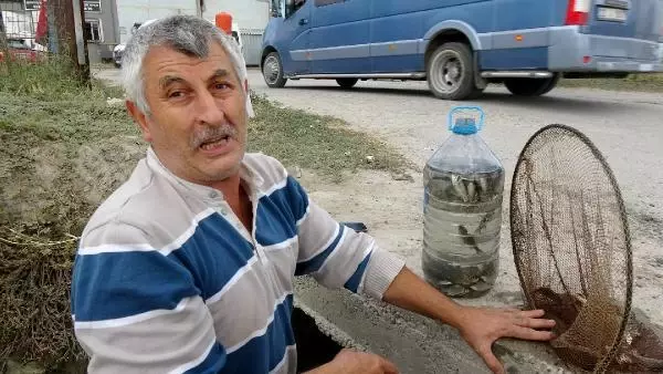 KURUYAN KANALDAKİ BALIKLARI PET ŞİŞELERLE NEHRE TAŞIYIP, ÖLÜMDEN KURTARDI