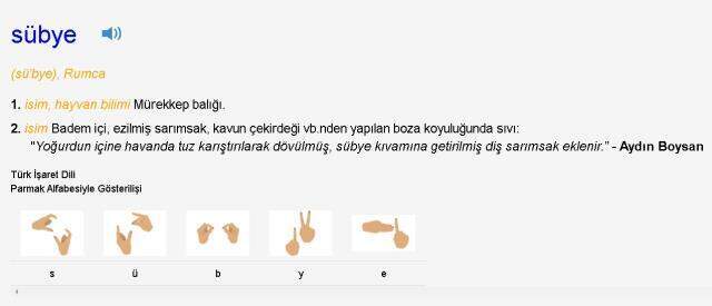 Sübye ne demek? TDK'ya göre Sübye nedir, ne demektir? Sübye ne anlama geliyor?