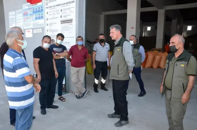 TMO Genel Müdürü Güldal: Üreticilerimiz taban fiyatın altında fındıklarını satmasın
