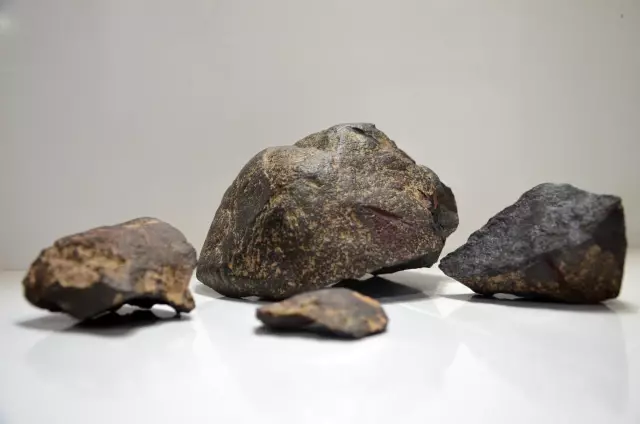 Kır gezisi yapan iki arkadaşın bulduğu taşın meteor olduğu saptandı