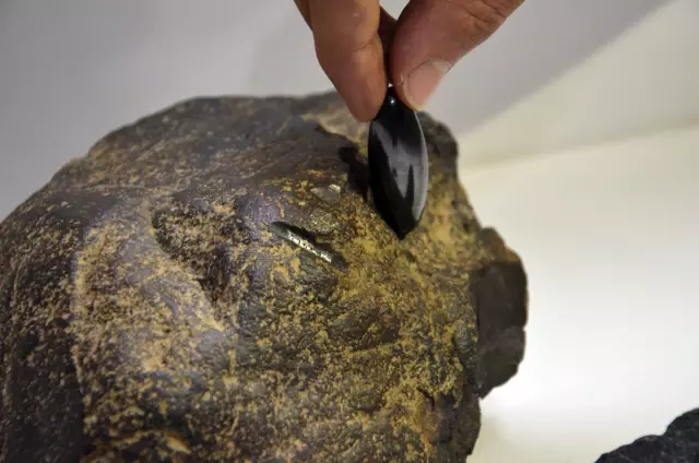 Kır gezisi yapan iki arkadaşın bulduğu taşın meteor olduğu saptandı
