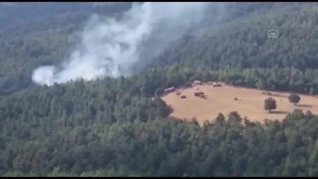 BALIKESİR - Orman yangınına havadan ve karadan müdahale ediliyor