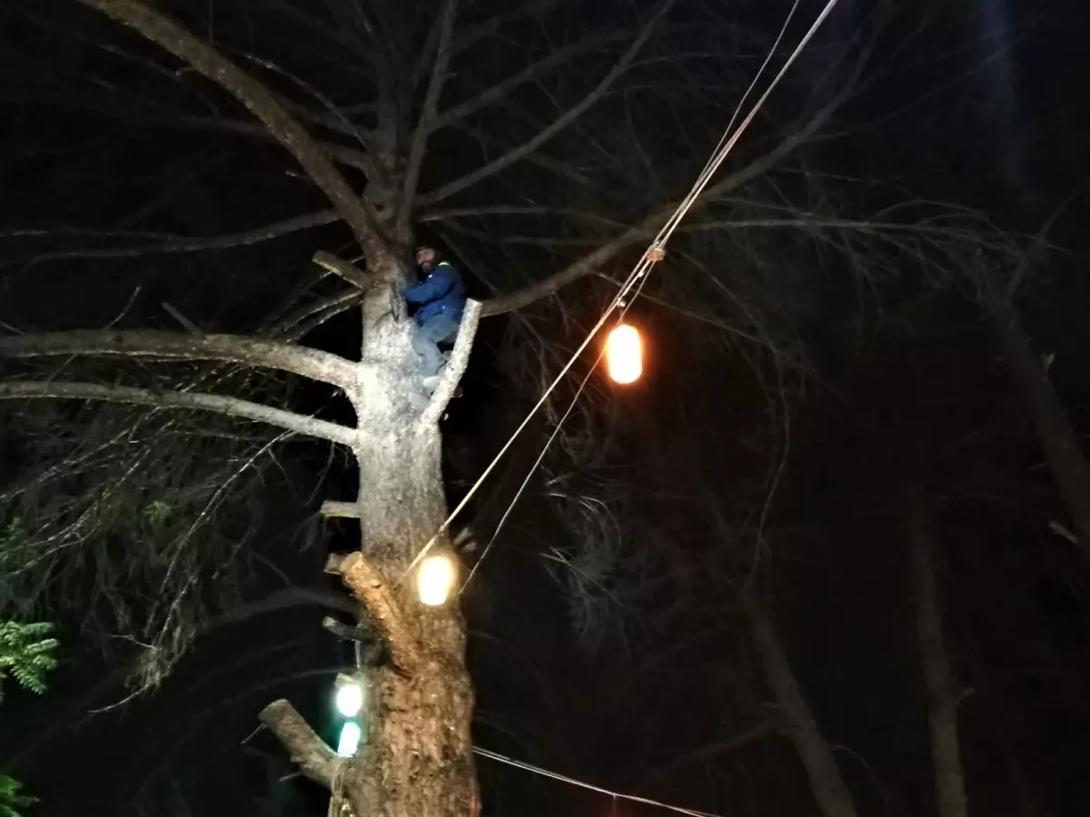 Burdur'da ağaca düşen yamaç paraşütçüsünü itfaiye kurtardı