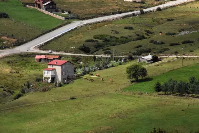 Doğasıyla hayran bırakan Çambaşı Yaylası turistlerin gözdesi oldu