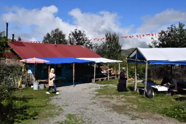 Doğasıyla hayran bırakan Çambaşı Yaylası turistlerin gözdesi oldu