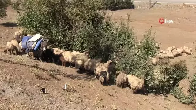Havalar soğudu göçerlerin zorlu geri dönüş yolculuğu başladı