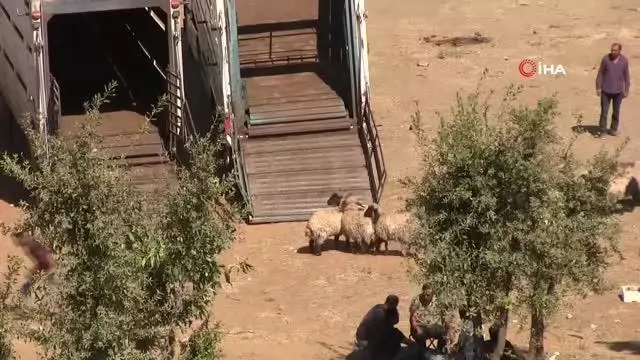 Havalar soğudu göçerlerin zorlu geri dönüş yolculuğu başladı