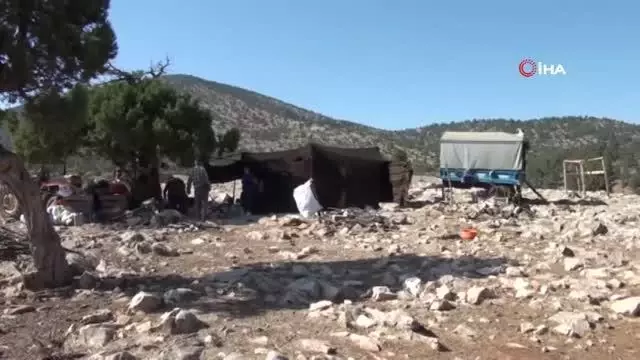 Sarıkeçili yörüklerin bin yıllık göçerlik geleneği